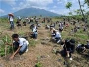 Bóng đá anh, ngoại hạng anh, lịch thi đấu euro 2012, Philippines lập kỷ lục thế giới về trồng cây 